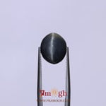 Catseye - 6.5 Carat