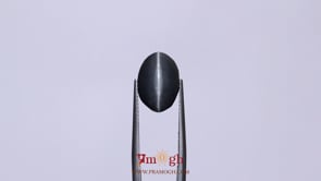 Catseye - 7.65 Carat