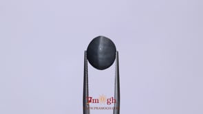 Catseye - 6.7 Carat
