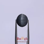 Catseye - 6.7 Carat