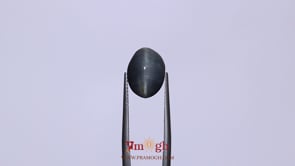 Catseye - 6.35 Carat
