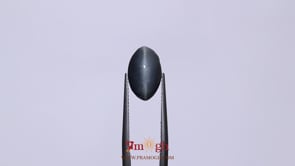 Catseye - 5.7 Carat