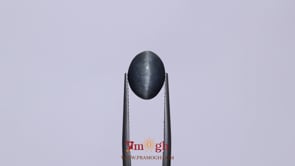 Catseye - 5.05 Carat