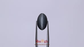 Catseye - 5.72 Carat
