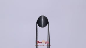 Catseye - 4.63 Carat