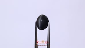 Catseye - 7.33 Carat