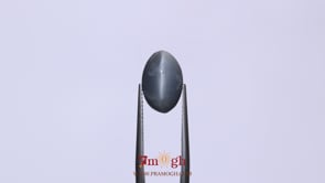 Catseye - 5.63 Carat
