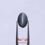 Catseye - 5.63 Carat
