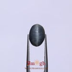 Catseye - 5.25 Carat