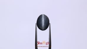Catseye - 7.2 Carat