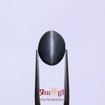 Catseye - 7.2 Carat