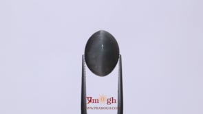 Catseye - 10.2 Carat