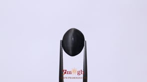 Catseye - 8.1 Carat