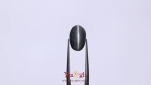 Catseye - 6.33 Carat