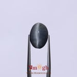 Catseye - 8.3 Carat