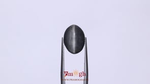 Catseye - 7.7 Carat