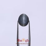 Catseye - 6.1 Carat