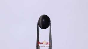 Catseye - 8.45 Carat