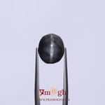 Catseye - 7.25 Carat