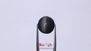 Catseye - 12.1 Carat