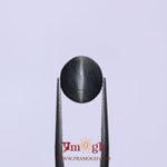 Catseye - 6.3 Carat