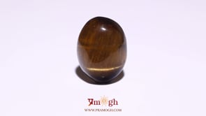 Tiger Eye - 10.1 Carat
