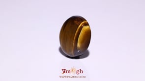 Tiger Eye - 9.6 Carat