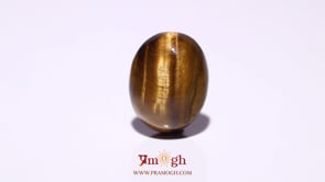 Tiger Eye - 11.45 Carat