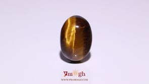 Tiger Eye - 10.5 Carat