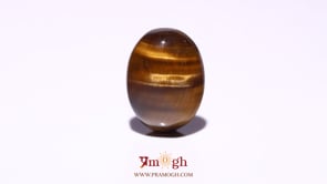 Tiger Eye - 10.35 Carat
