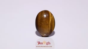 Tiger Eye - 7.45 Carat