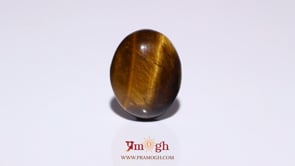 Tiger Eye - 9.15 Carat