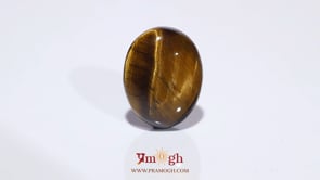 Tiger Eye - 11.45 Carat