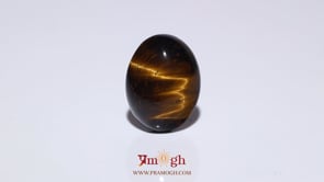 Tiger Eye - 8.8 Carat
