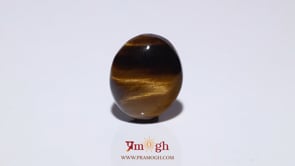 Tiger Eye - 10.3 Carat