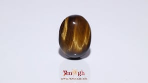 Tiger Eye - 9.97 Carat