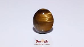 Tiger Eye - 9.63 Carat