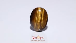 Tiger Eye - 10.8 Carat