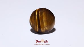 Tiger Eye - 10.6 Carat