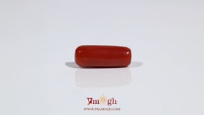 Red Coral - 6.3 Carat