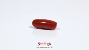 Red Coral - 5.7 Carat