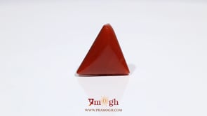 Red Coral - 12.6 Carat