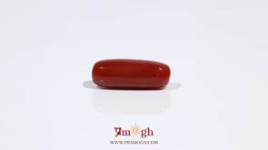 Red Coral - 6.65 Carat