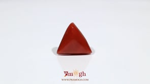 Red Coral - 9.9 Carat