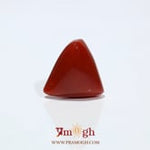 Red Coral - 11.05 Carat