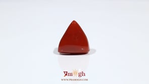 Red Coral - 11.3 Carat