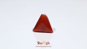 Red Coral - 10.65 Carat