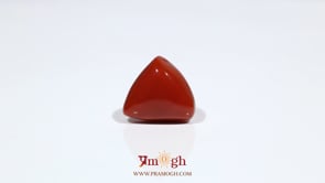 Red Coral - 11.75 Carat