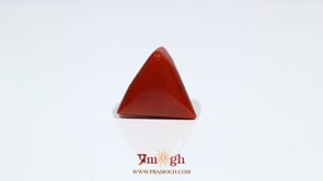 Red Coral - 11.15 Carat