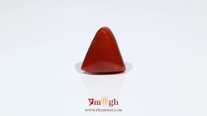 Red Coral - 10.55 Carat